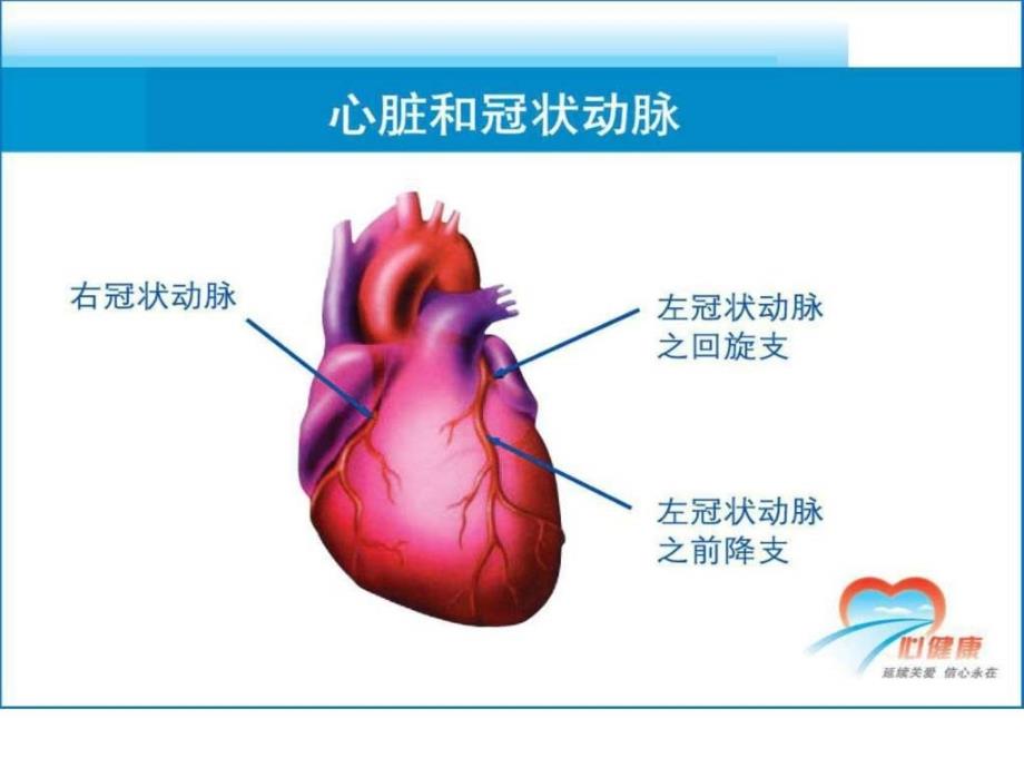 1冠心病的防治患者教育_第4页