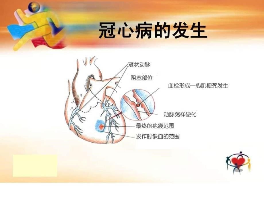 1冠心病的防治患者教育_第5页