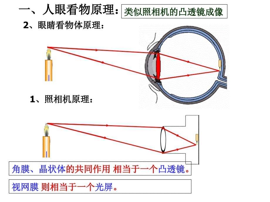 保护眼睛课件2_第5页