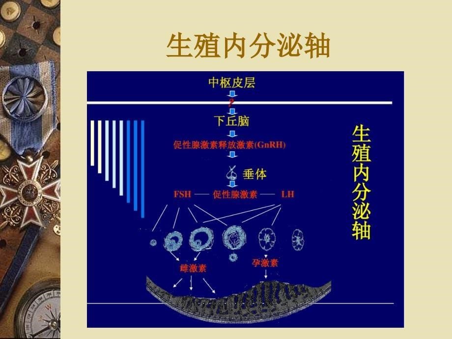 异常子宫出血诊疗_第5页