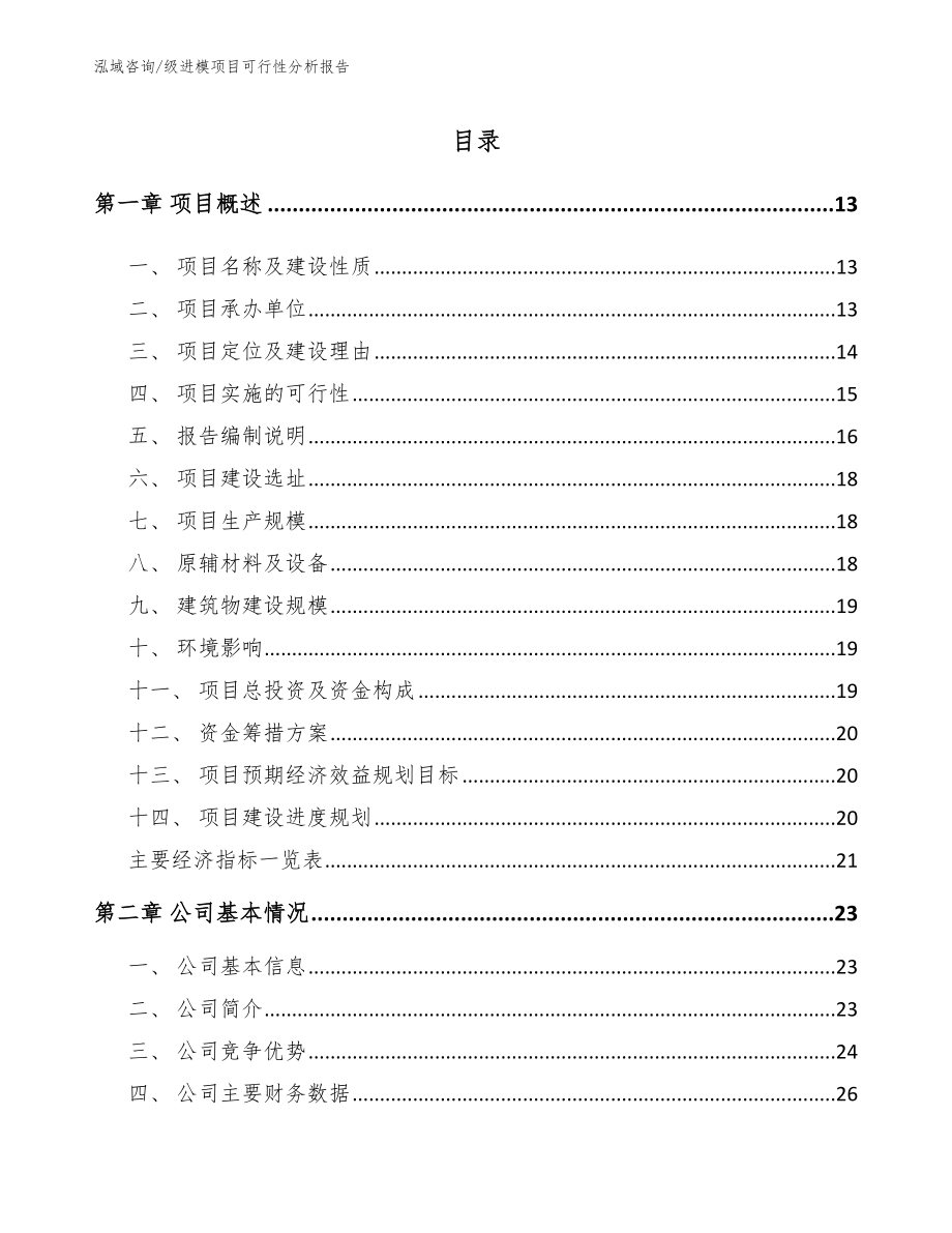 级进模项目可行性分析报告（模板范本）_第2页