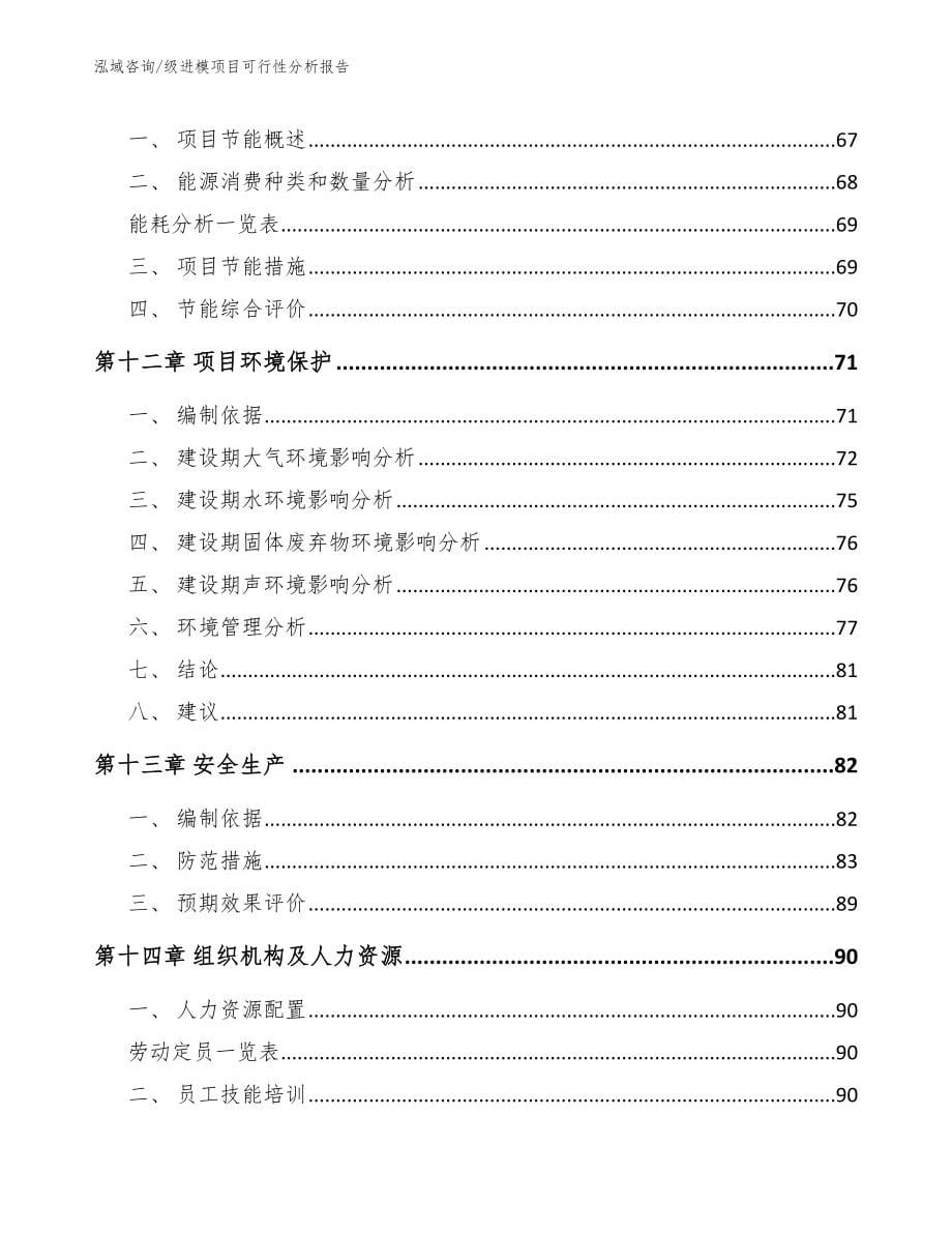 级进模项目可行性分析报告（模板范本）_第5页