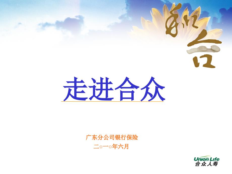 公司简介和分红险特征省公司版_第1页