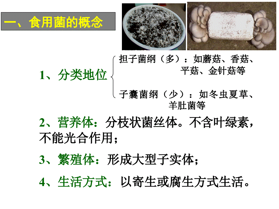 实验一PDA培养基配制.ppt_第3页