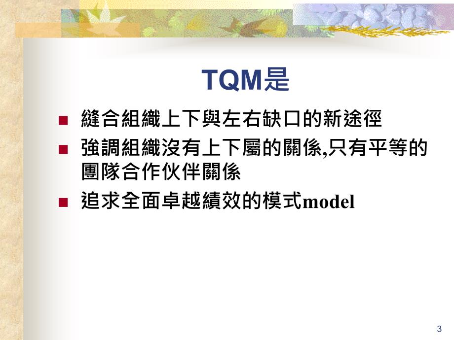 TQM追求全面卓越绩效之模式培训课程_第3页