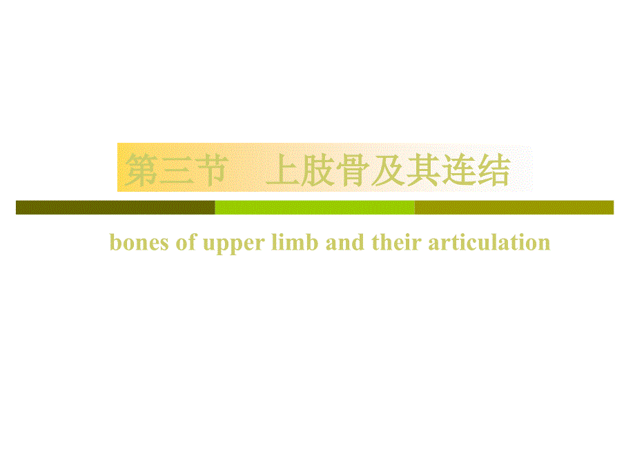 系统解剖学课件：上肢骨及其连结_第1页