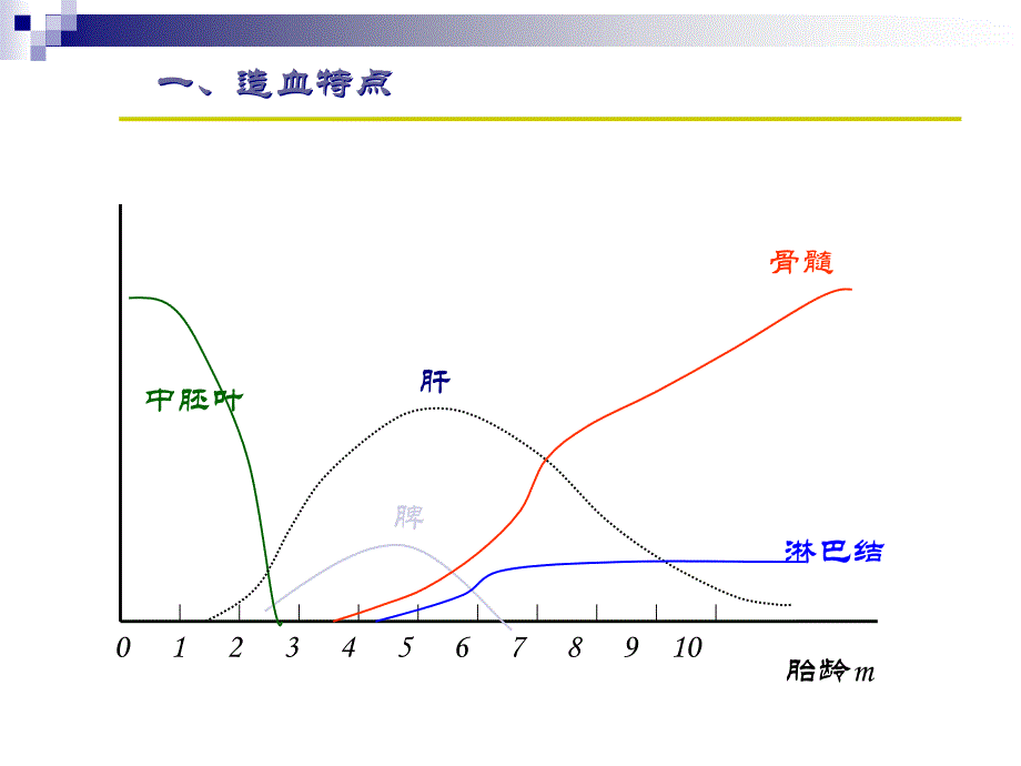 儿童缺铁性贫血综述课件_第4页