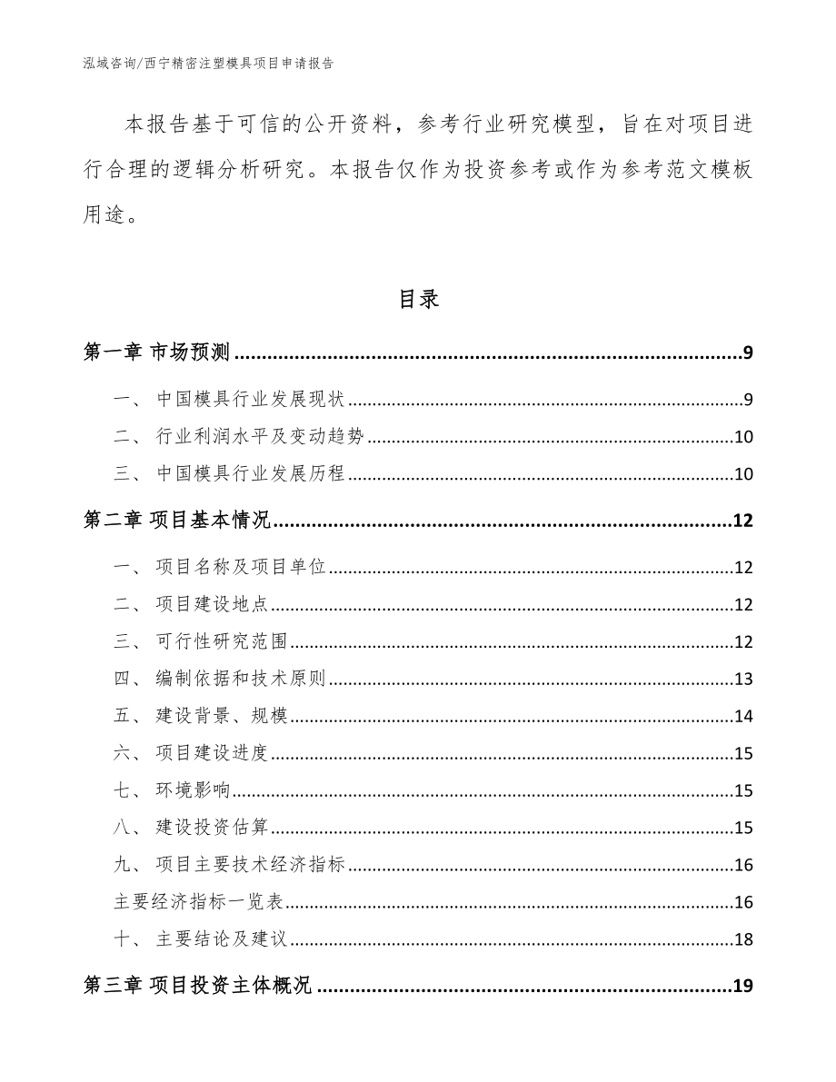 西宁精密注塑模具项目申请报告模板_第2页