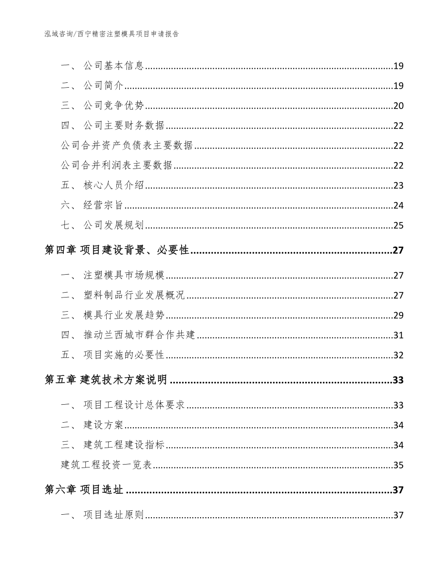 西宁精密注塑模具项目申请报告模板_第3页