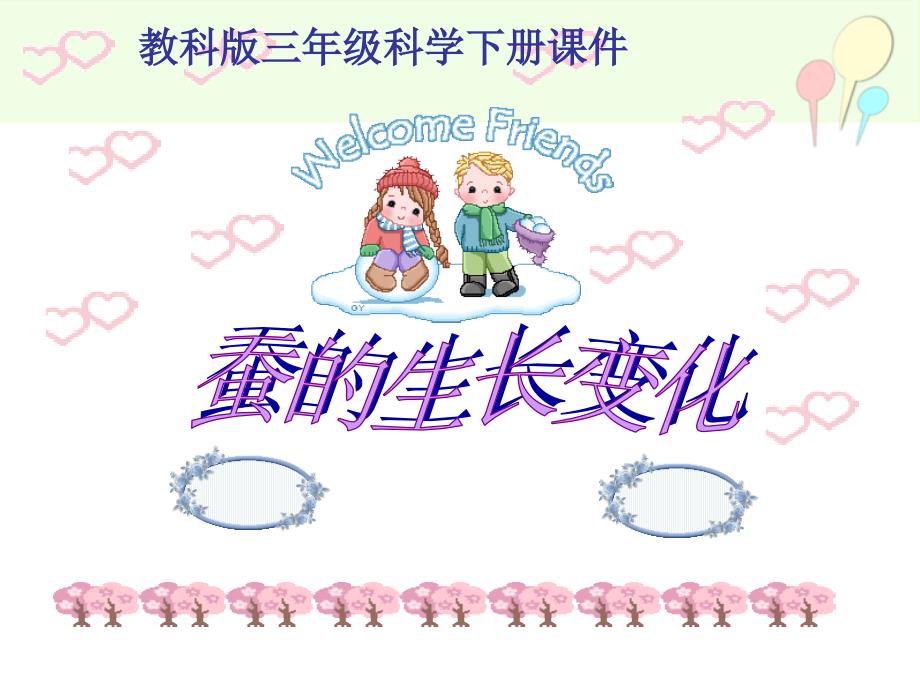 蚕的生长变化_第1页