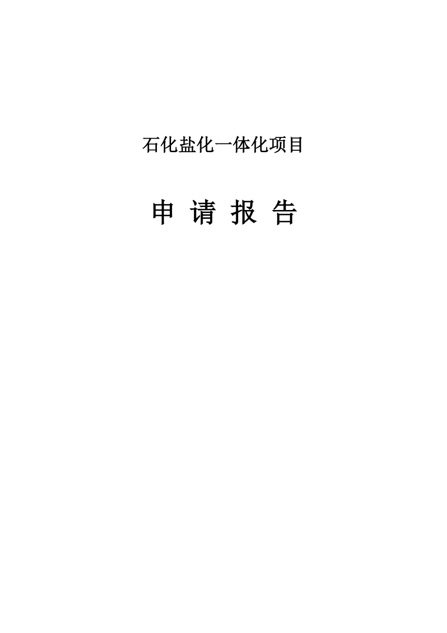 石化盐化一体化项目策划书.doc_第1页