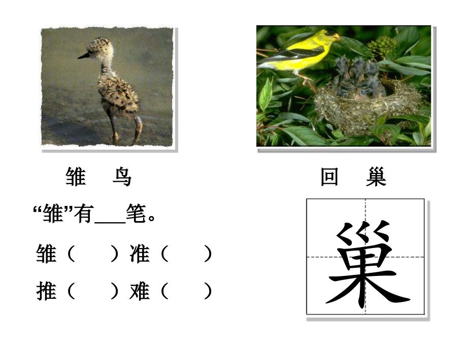 1《信》教学课件_第4页