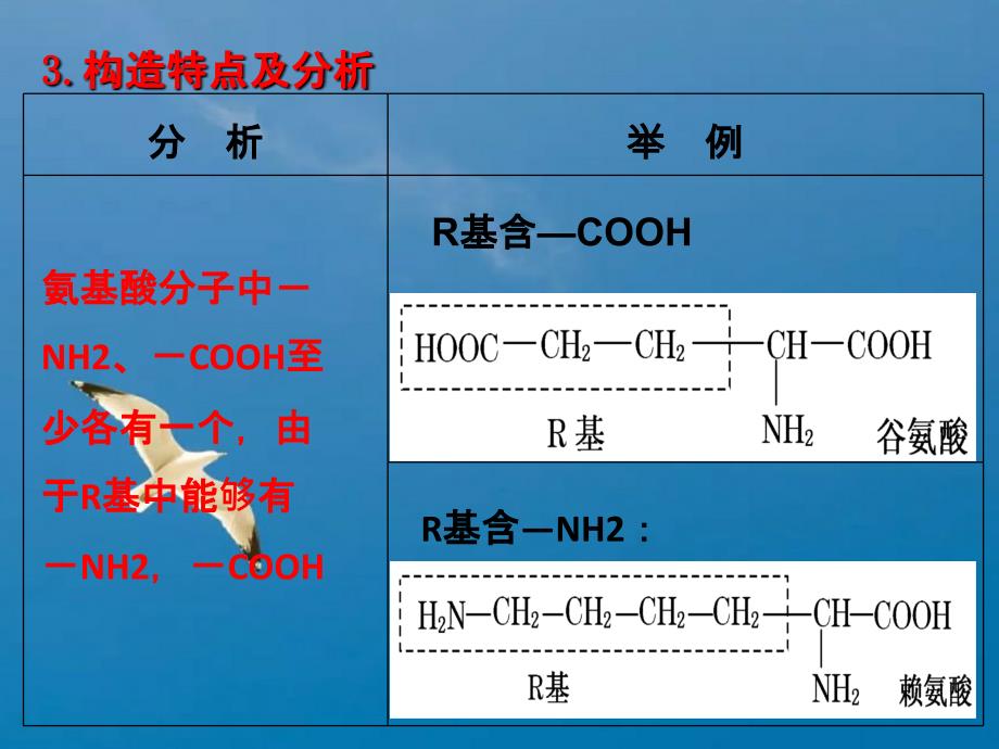 生命活动的主要承担着蛋白质ppt课件_第3页