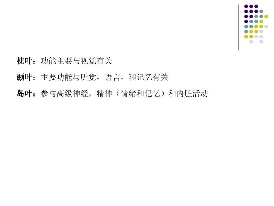 中枢神经各系统各部位损害的表现ppt课件_第5页