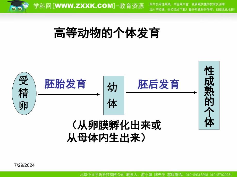 二高等动物的个体发育_第2页