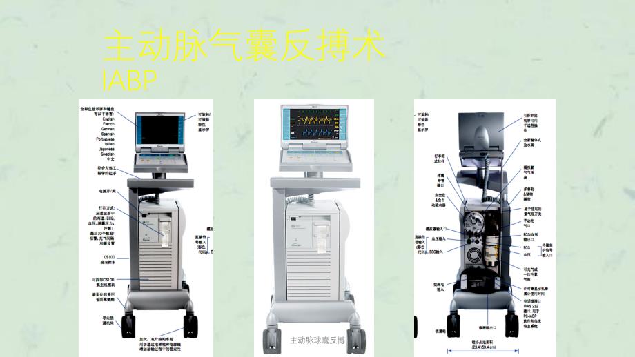 主动脉球囊反博课件_第1页