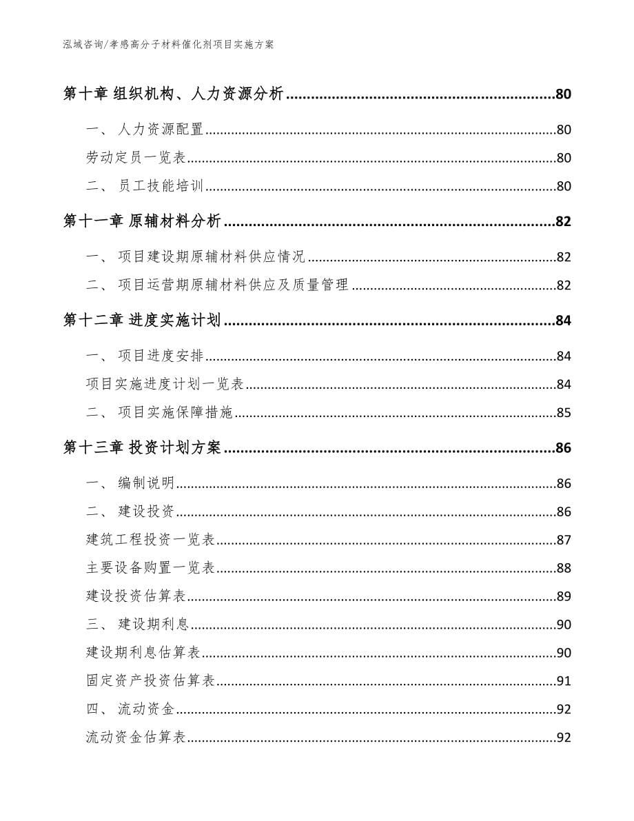 孝感高分子材料催化剂项目实施方案（模板参考）_第5页