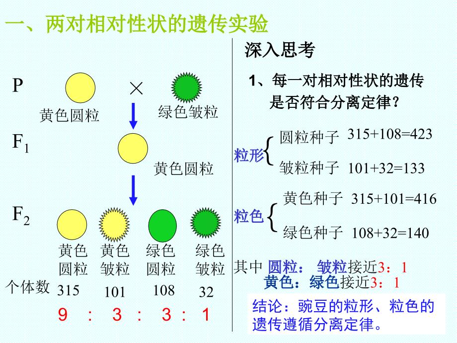 人教版高中生物必修二第一章第2节孟德尔的豌豆实验二优秀课件28张3共28张PPT_第4页