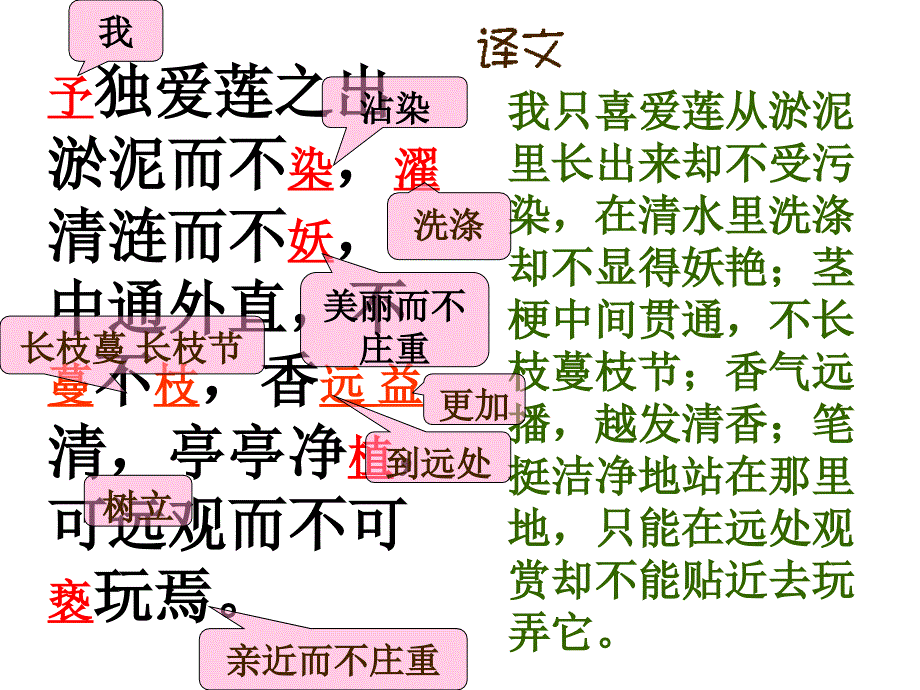 爱莲说 (9)_第4页