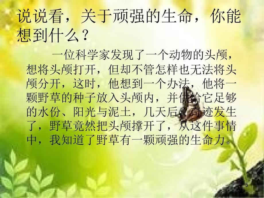 我们眼中的生命_第5页