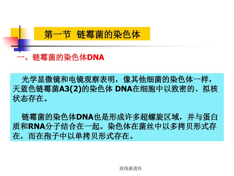 放线菌遗传课件_第3页