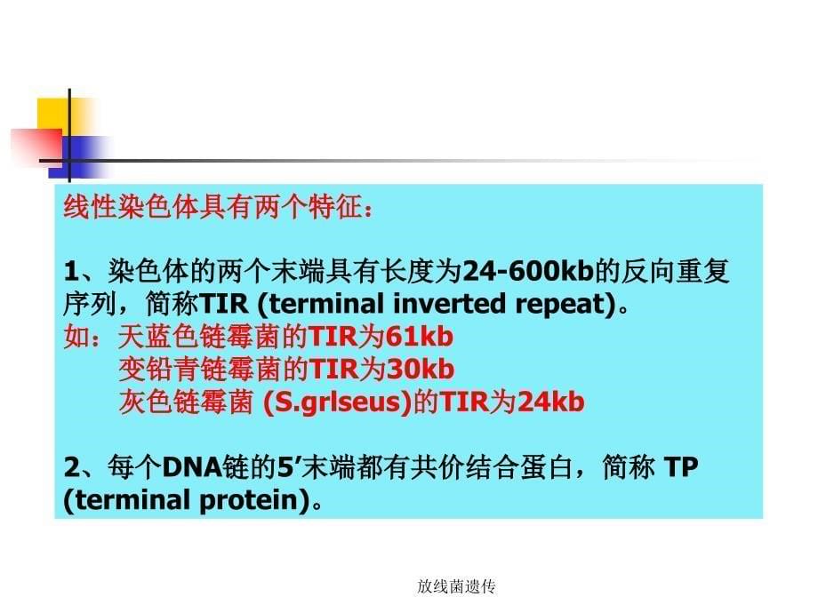 放线菌遗传课件_第5页