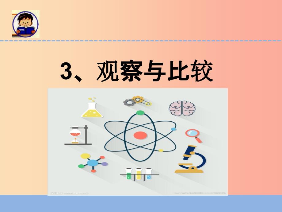 二年级科学下册 我们自己 3 观察与比较课件 教科版.ppt_第1页