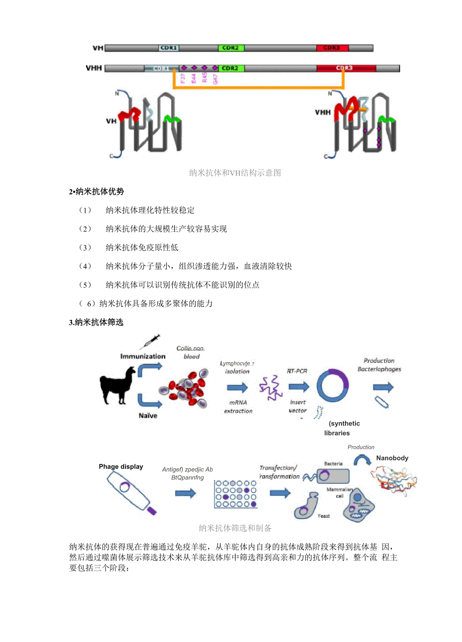 纳米抗体筛选实验步骤_第2页