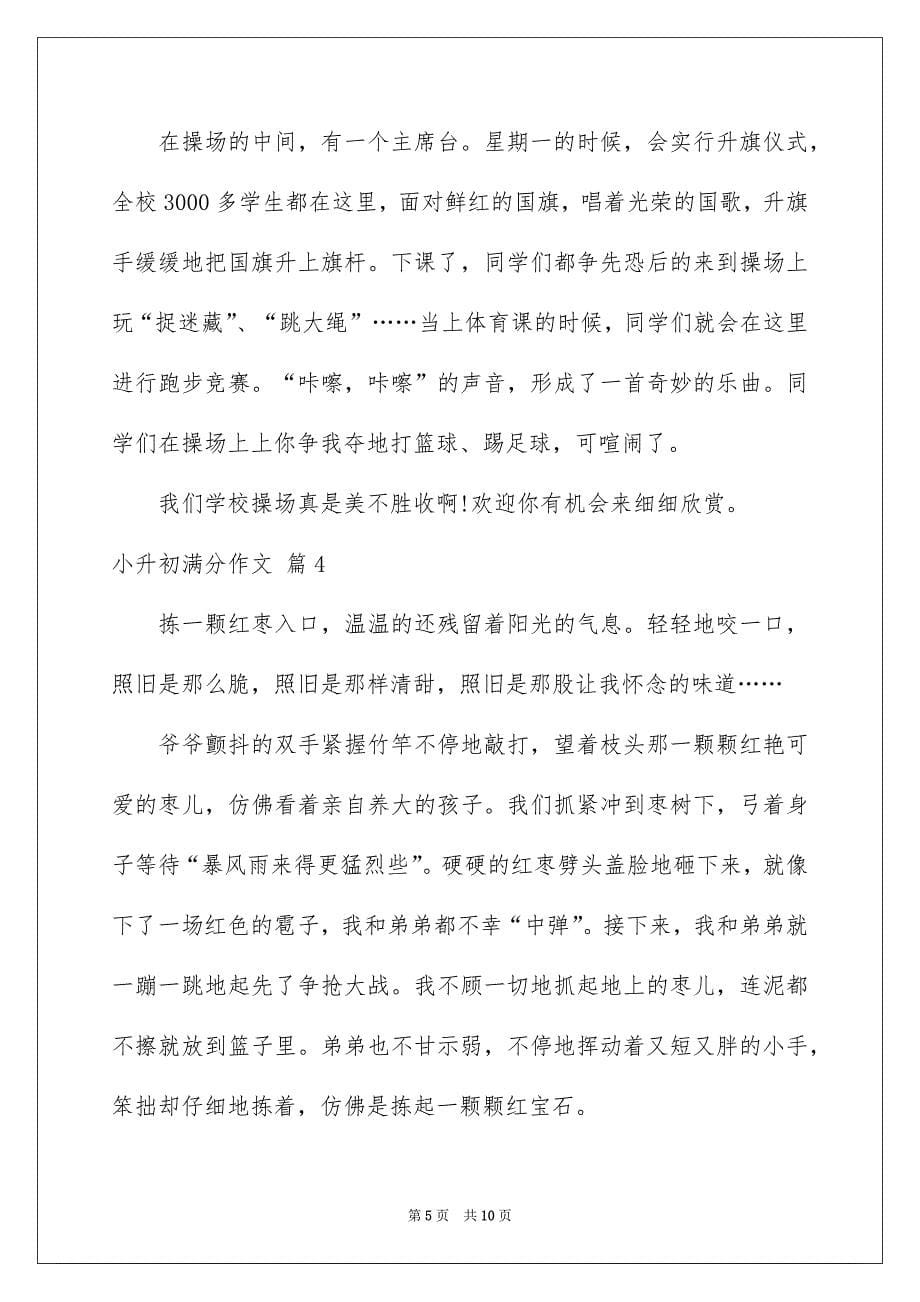 有关小升初满分作文汇总7篇_第5页