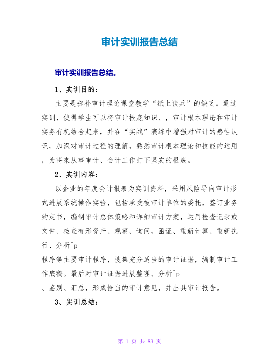 审计实训报告总结.doc_第1页