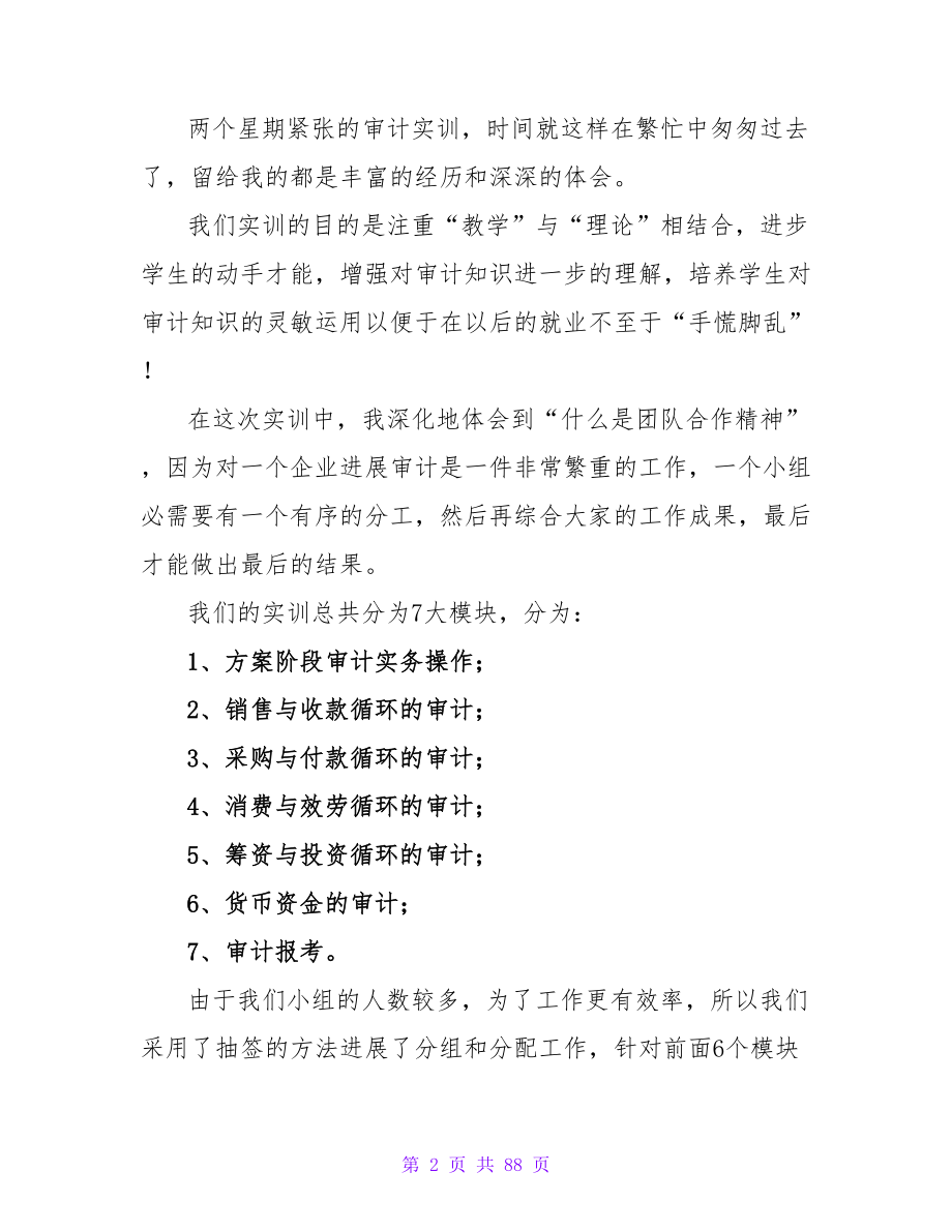 审计实训报告总结.doc_第2页