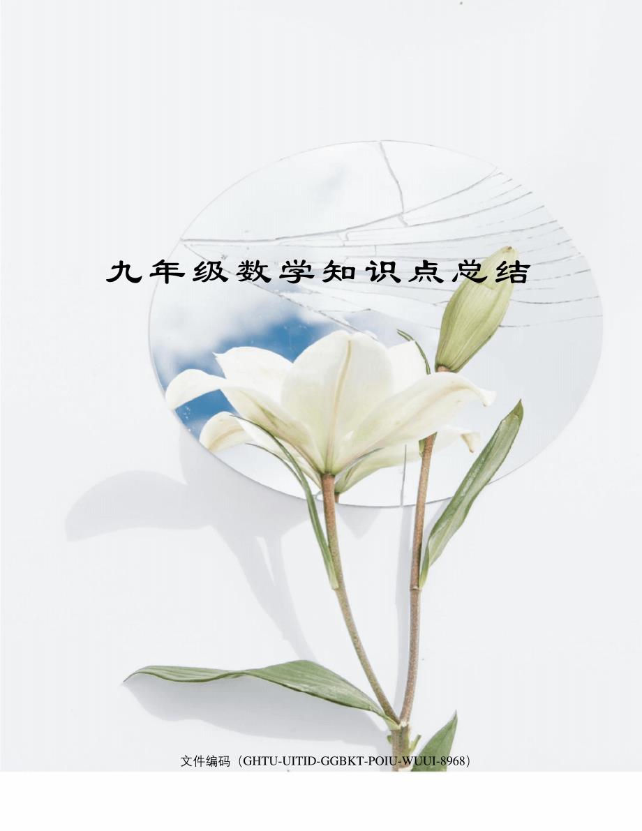 九年级数学知识点总结10286_第1页