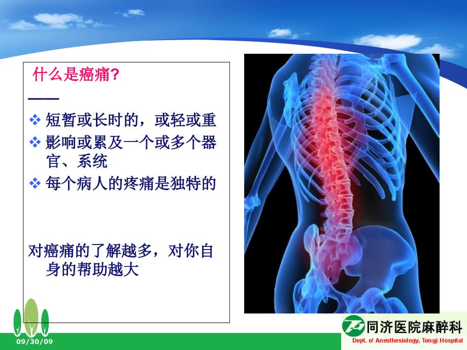 癌痛治疗麻醉科讲座_第2页