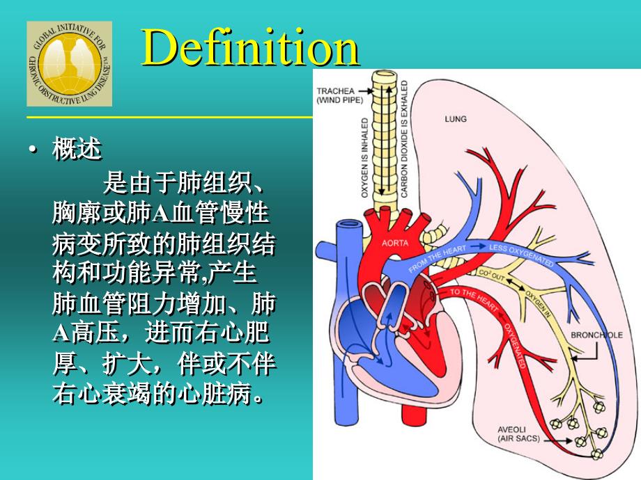 肺心病诊断及治疗_第3页