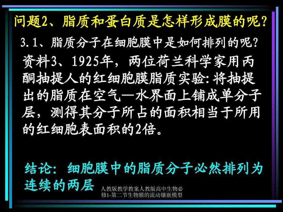 人教版教学教案人教版高中生物必修1第二节生物膜的流动镶嵌模型课件_第5页