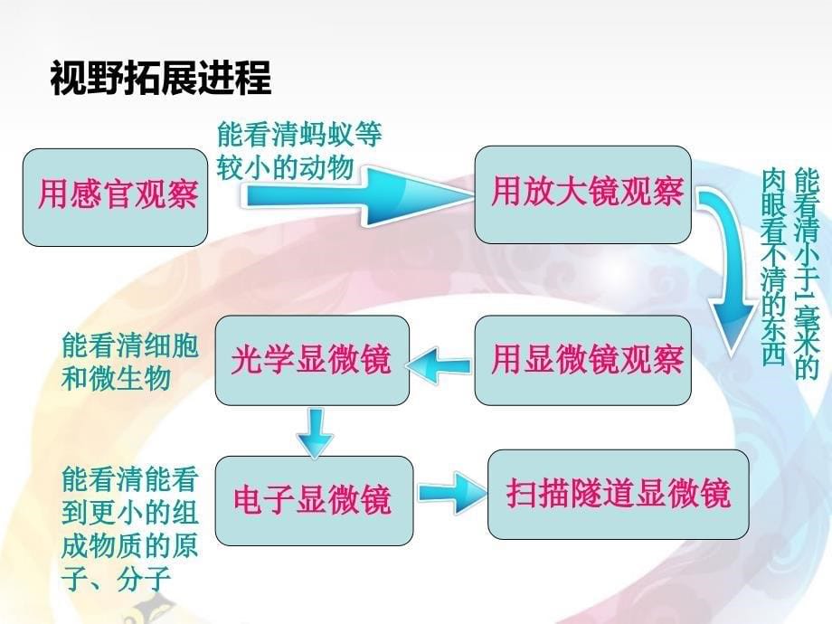 8微小世界和我们_第5页