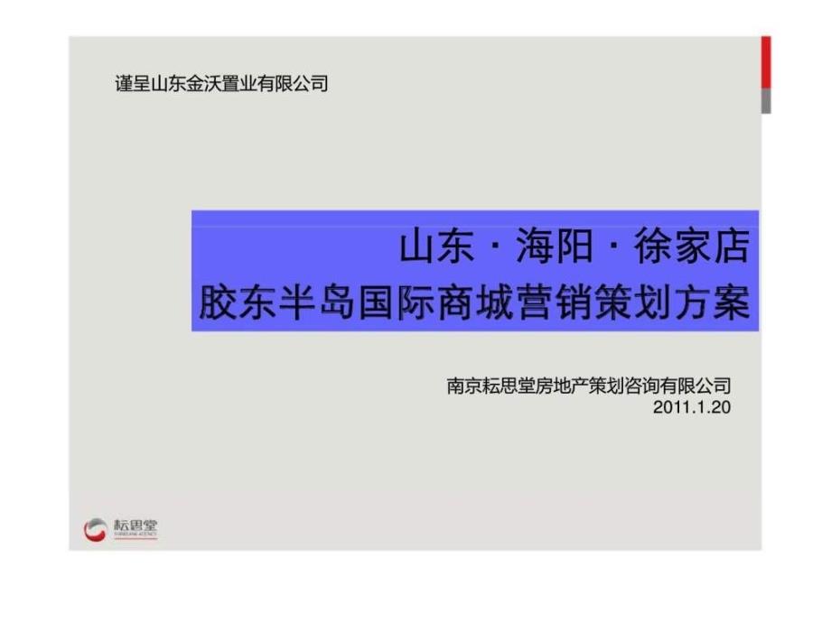 山东海阳徐家店胶东半岛国际商城营销策划方案_第1页