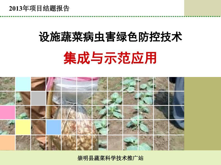 设施蔬菜病虫害绿色防控技术集成与示范应用课件_第1页