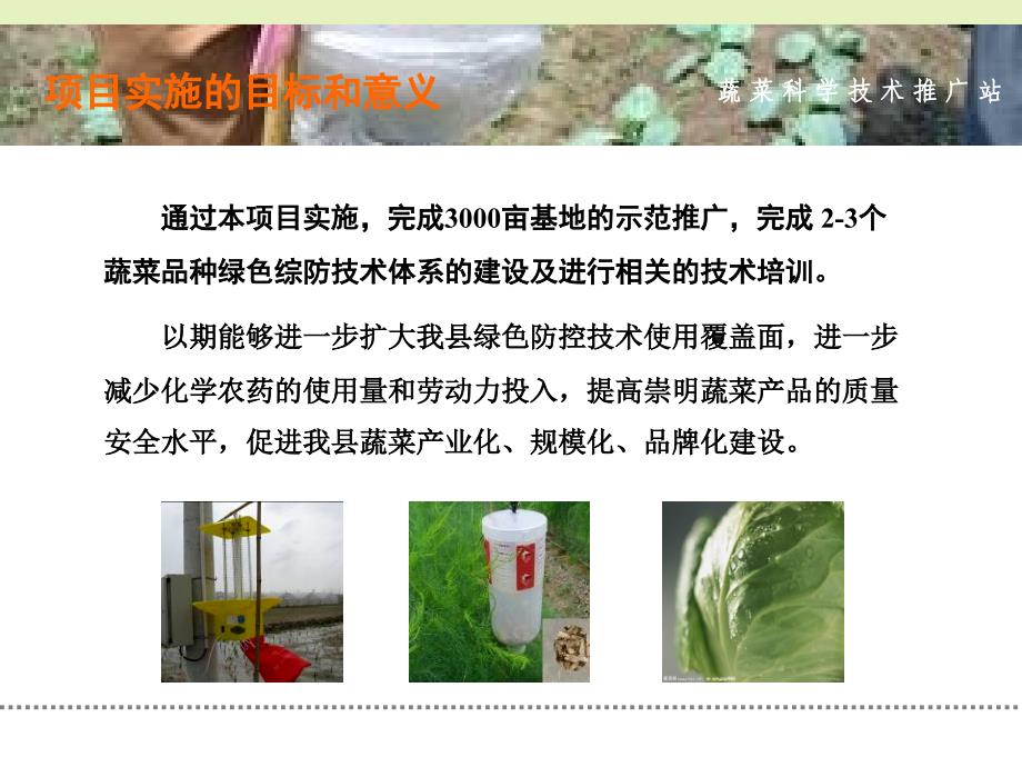 设施蔬菜病虫害绿色防控技术集成与示范应用课件_第4页