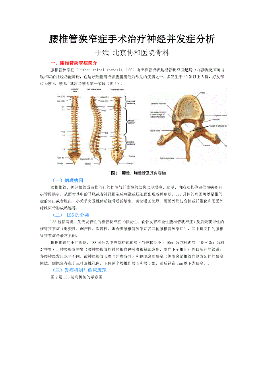 腰椎管狭窄症手术治疗神经并发症分析.doc_第1页