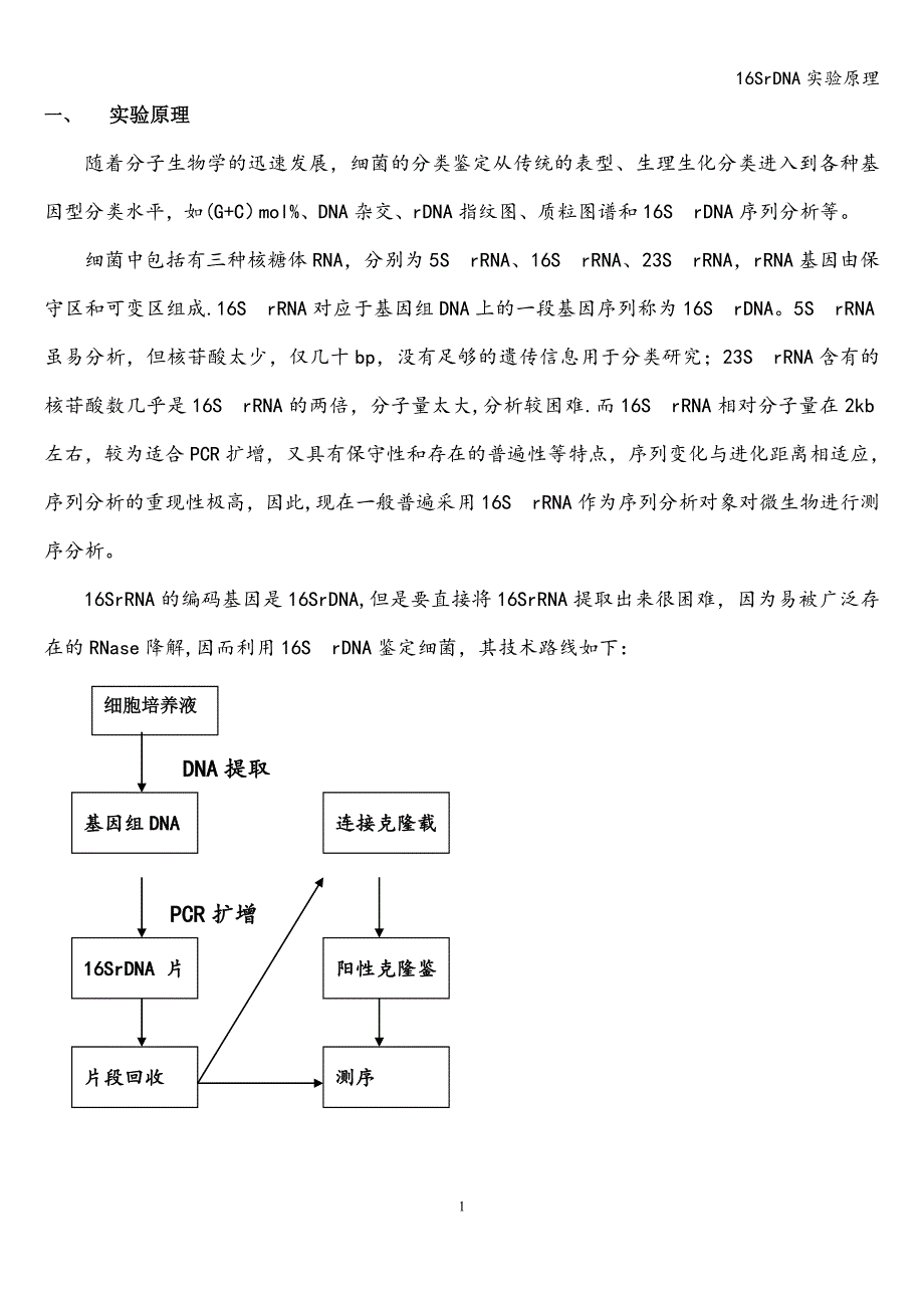 16SrDNA实验原理.doc_第1页