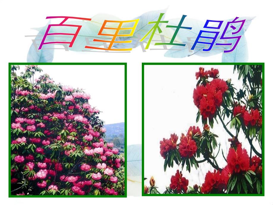 艺术字设计PPT课件_第1页