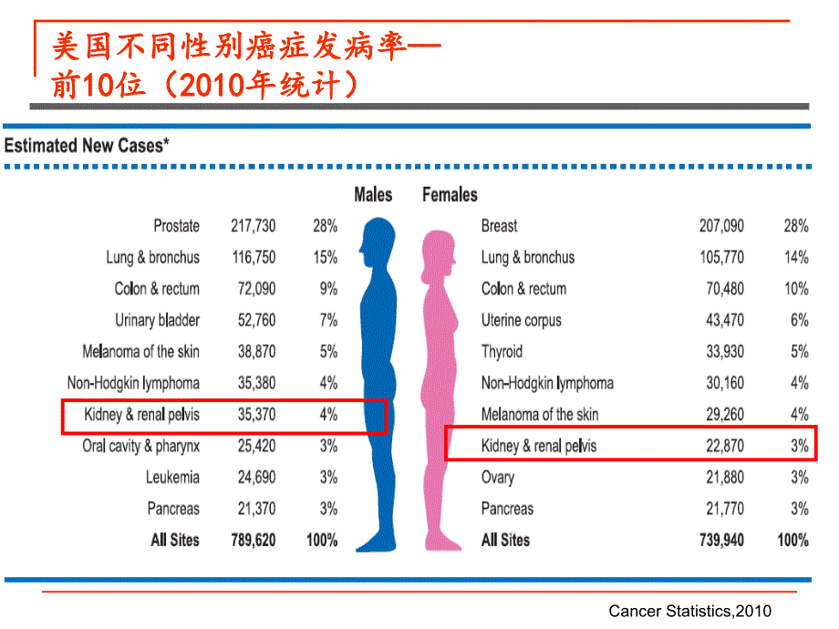 肾癌内科治疗_第2页