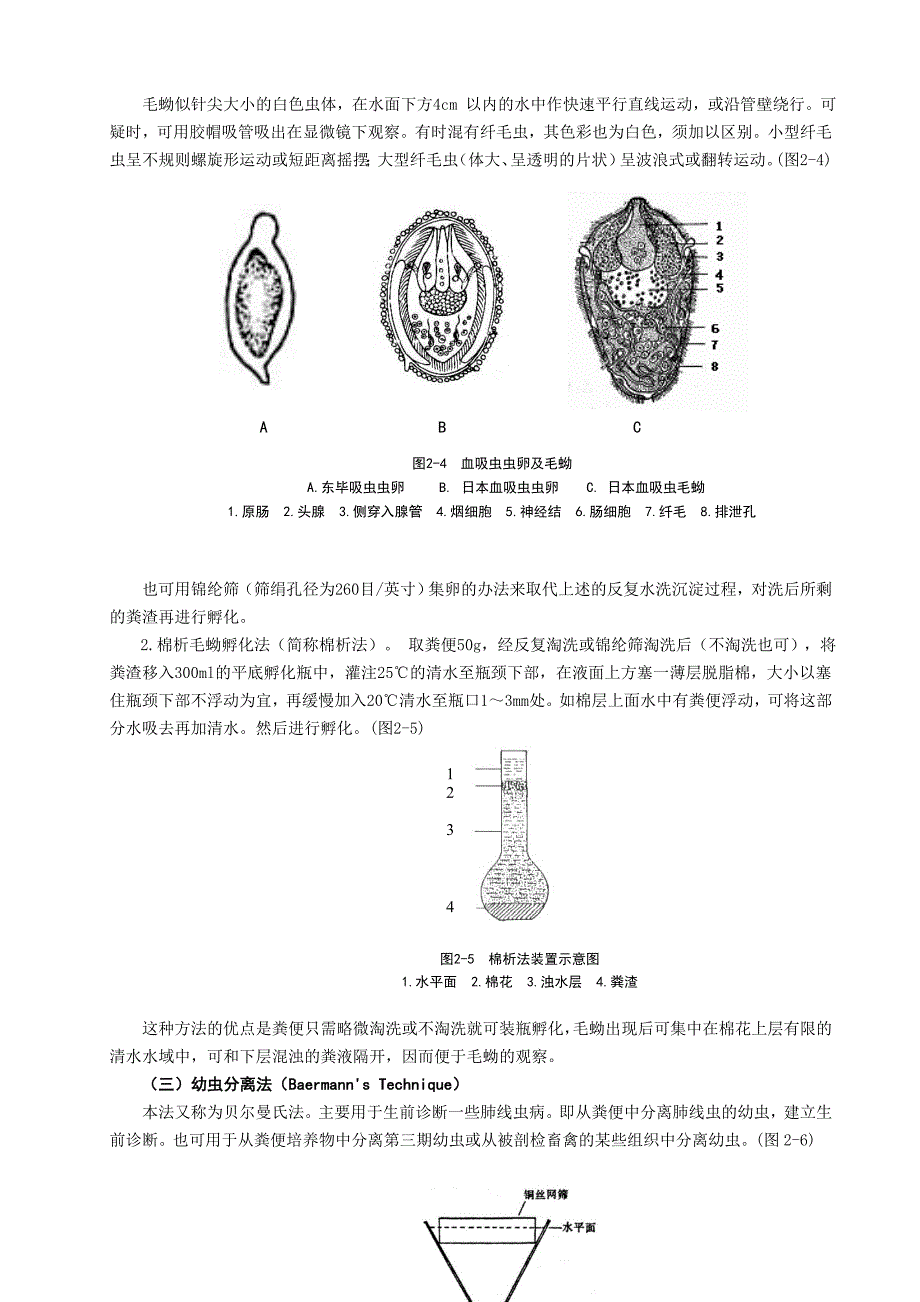 实验二动物蠕虫学粪便检查技术(二).doc_第3页