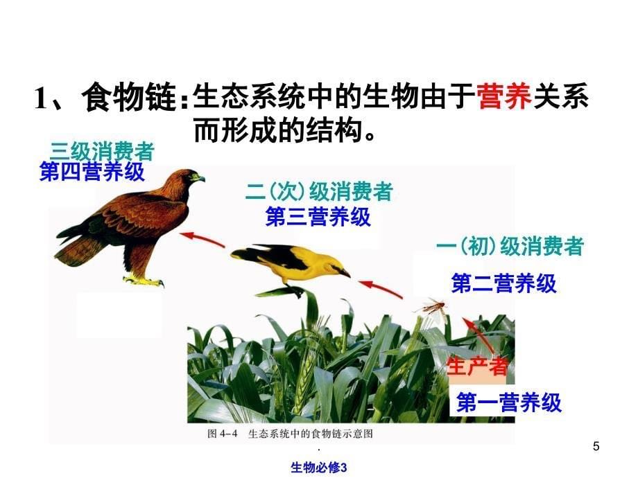 食物链和食物网PPT精选文档_第5页