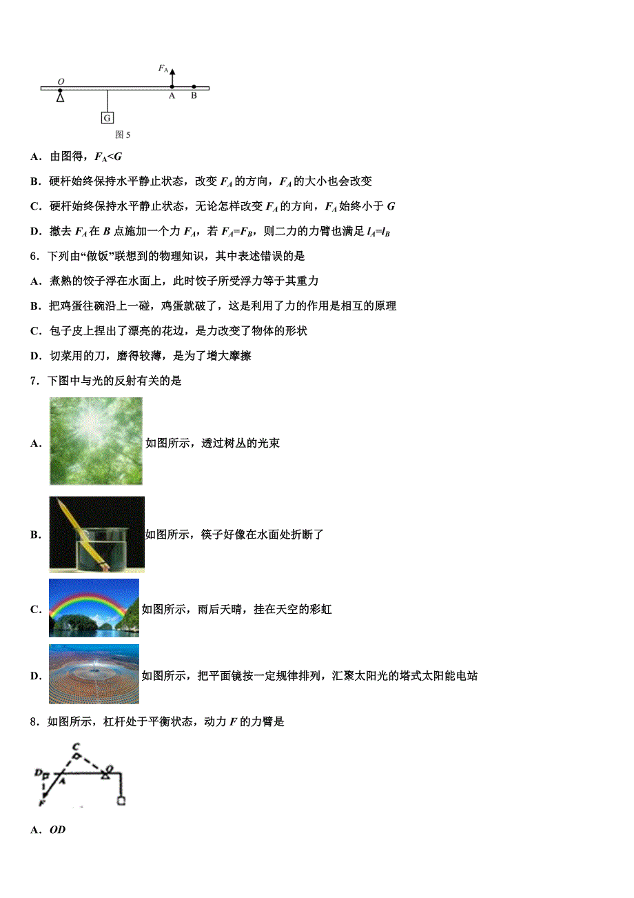 湖南省武汉市常青第一校2023学年中考物理最后一模试卷（含答案解析).doc_第2页