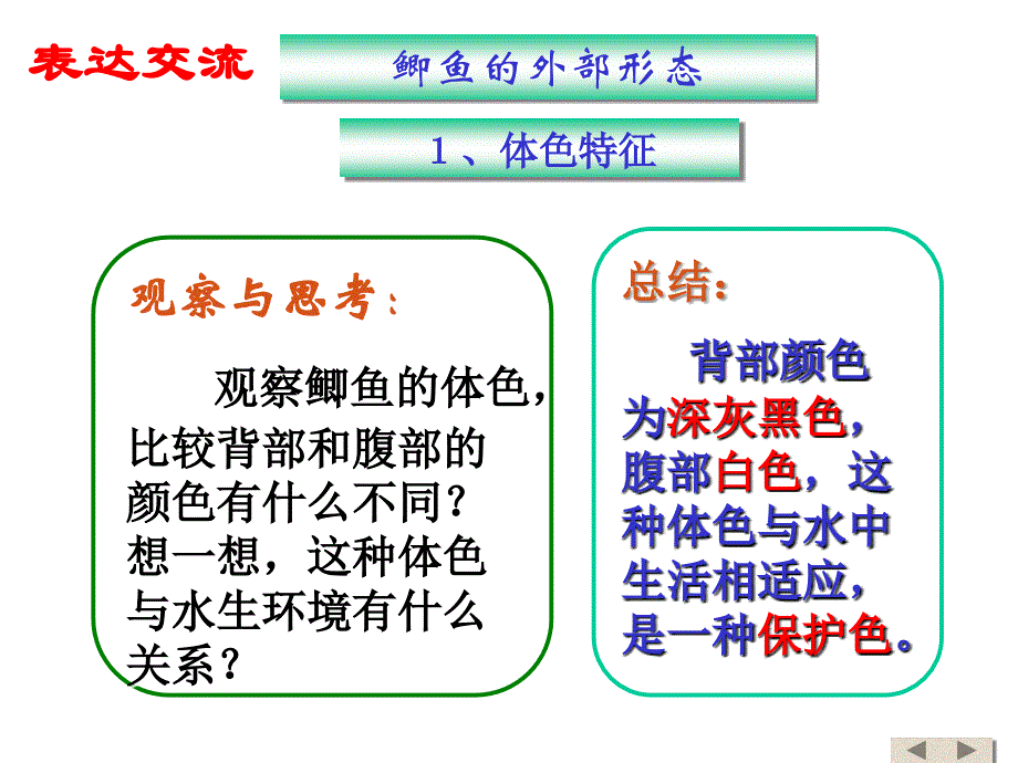 医学课件第一节动物的主要类群鱼类_第4页