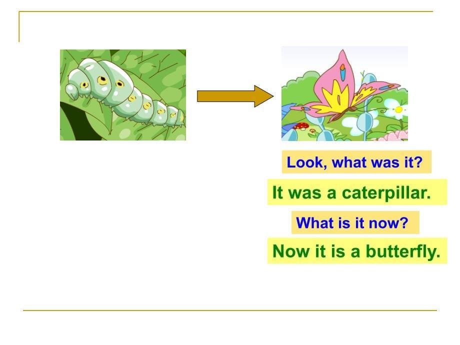 OxfordEnglish5BModule1Unit2WatchitgrowPeriod2_第5页