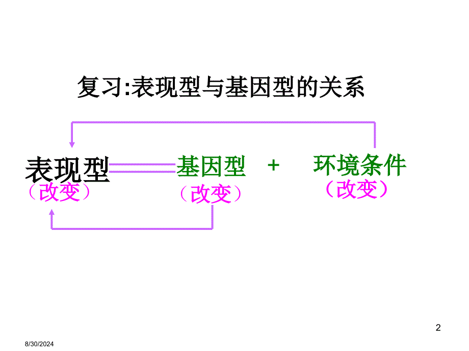 第一节基因突变和基因重组_第2页