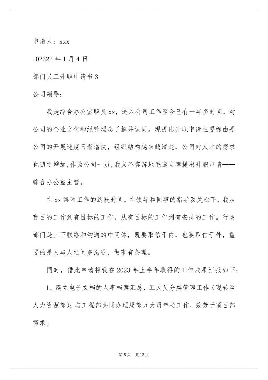 2023年部门员工升职申请书范文.docx_第5页